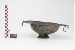 Foto von Bronzebreitrandfußschale (NHMW-PRAE-025213)